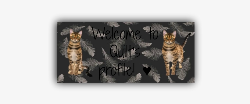 Photo Quilt 1 Zpsydyx2j13 - Pet Tales Game, transparent png