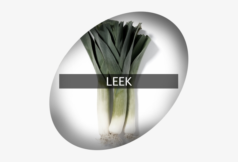 Landingimage Igrow Leek - Leek, transparent png