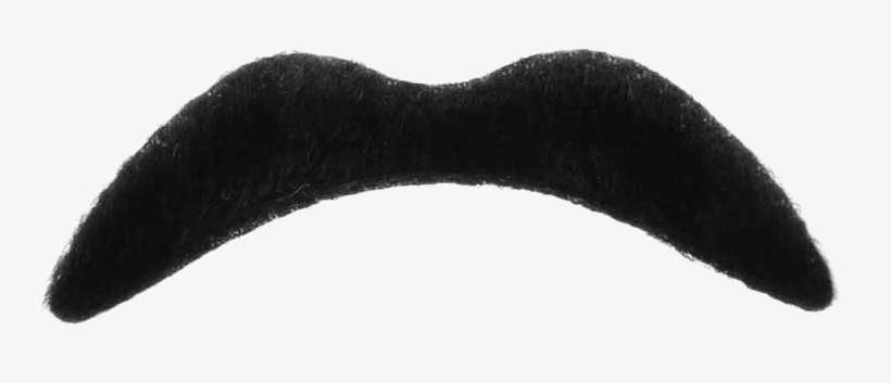 Moustache Png Images Transparent Free Download Pngmartcom - Portable Network Graphics, transparent png