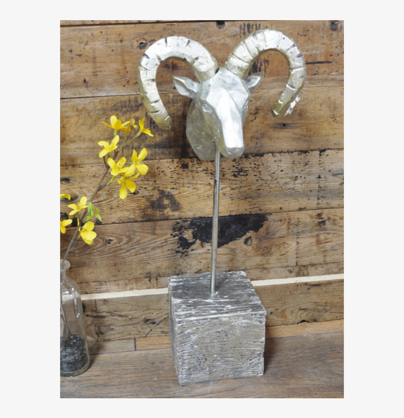 Standing Ram, transparent png