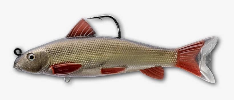 130 Redhorse Natural / Olive - Redhorse Sucker Lure, transparent png