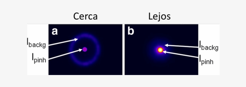 Imágenes Experimentales Pseudocoloreadas Obtenidas - Circle, transparent png