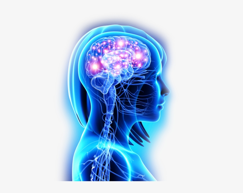 Neural Zoomer Is A Test That Shows Me If Your Immune - Bipolar 1 Disorder - How To Survive And Thrive, transparent png