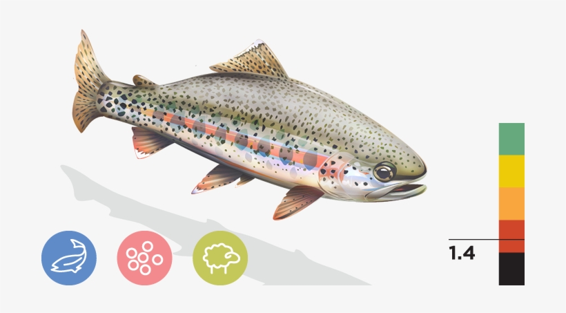 Kern River Rainbow Trout - Cal Trout Transparent, transparent png