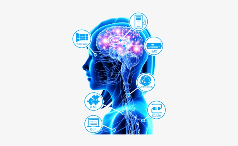 View Larger Image - Biometrics For Market Research, transparent png