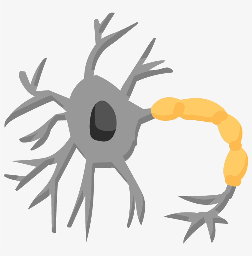 Nervous System Icon Png, transparent png