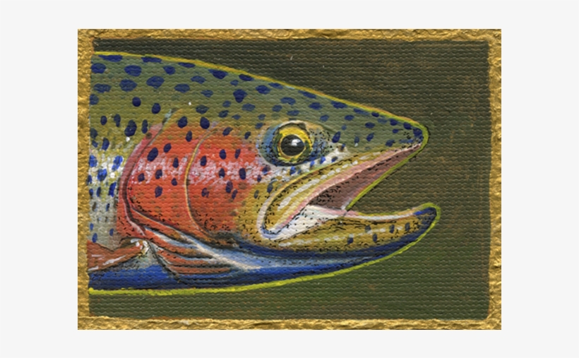 Montana Rainbow - Trout, transparent png