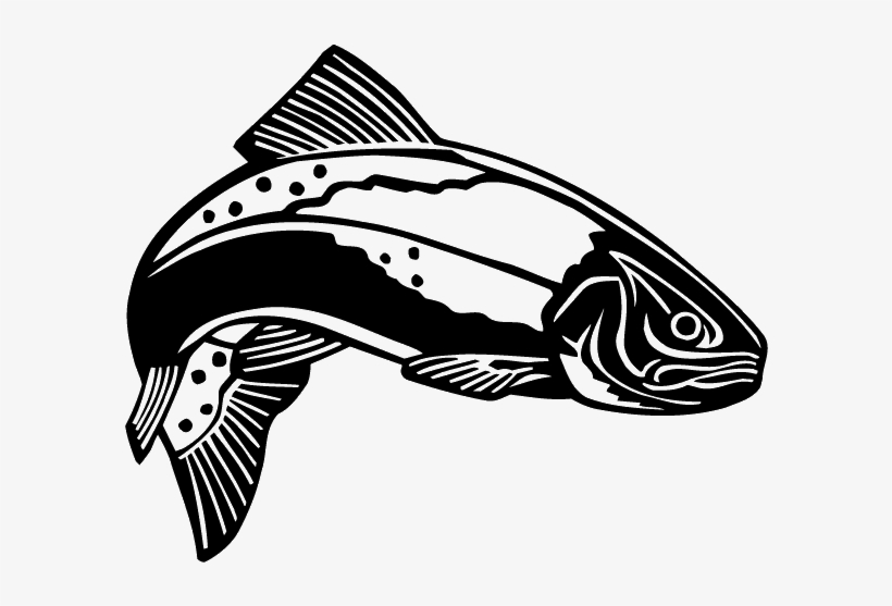Black And White Trout, transparent png