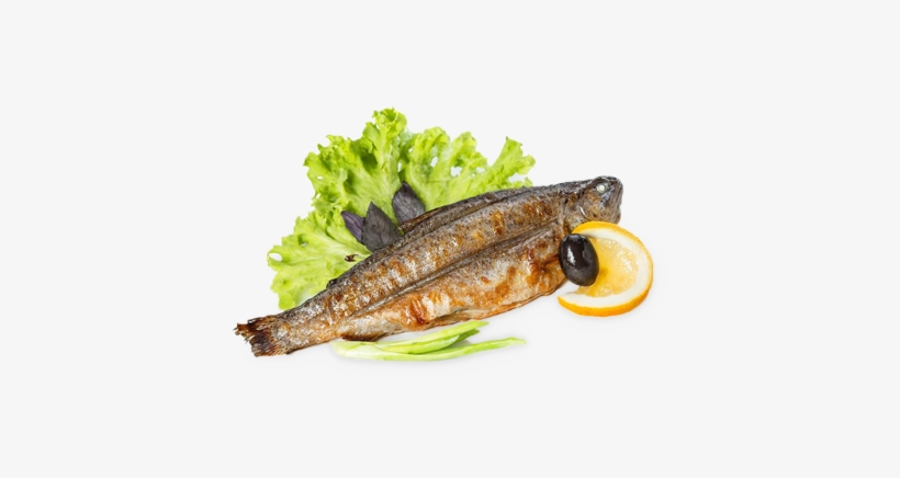 Pacific Saury, transparent png