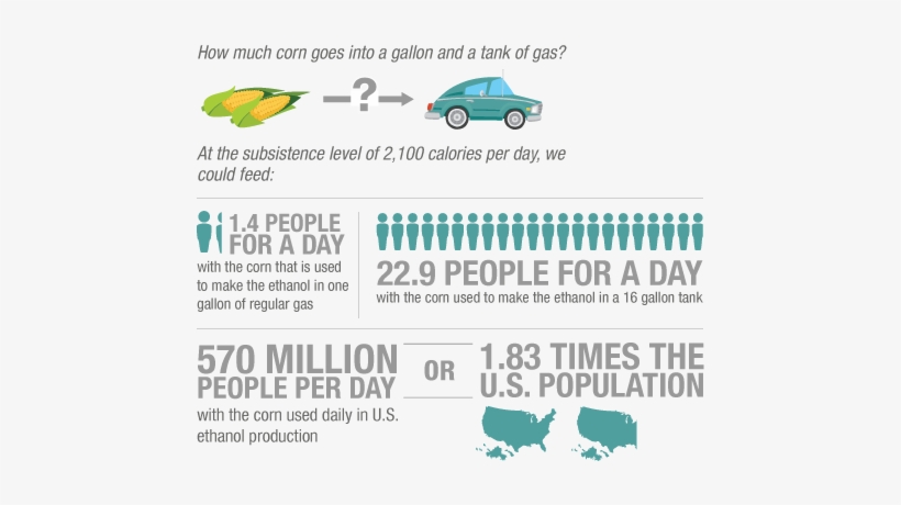 Researchers Crunch The Numbers On The Food Value Of - Ethanol Fuel Infographic, transparent png