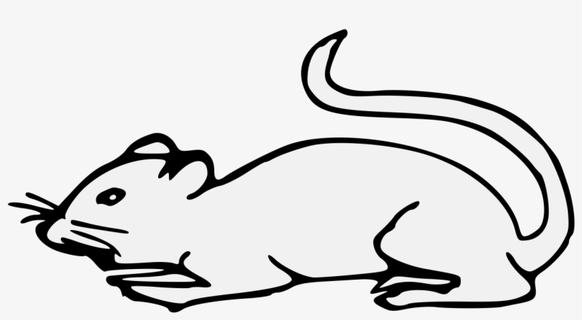 Details, Png, transparent png