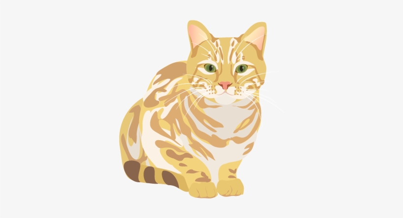 201408 Cat - Cat File Png, transparent png