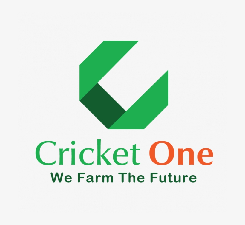Get In Touch - Community-driven Development, transparent png