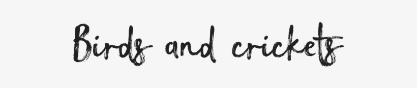 Home - Bird, transparent png