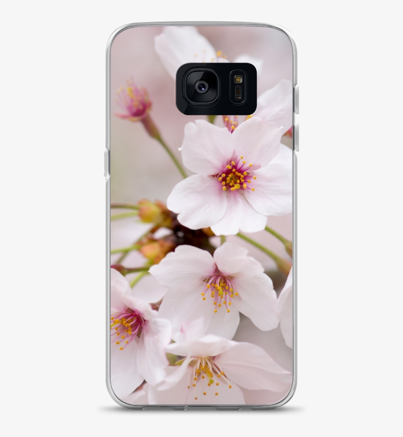 Ablyth Samsung Case, Travel Japan Series, Sakura - Cherry Blossom, transparent png
