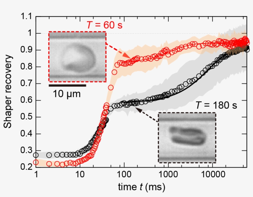 Resilient Red Blood Cells Need Fuel To Adapt Their - Plot, transparent png