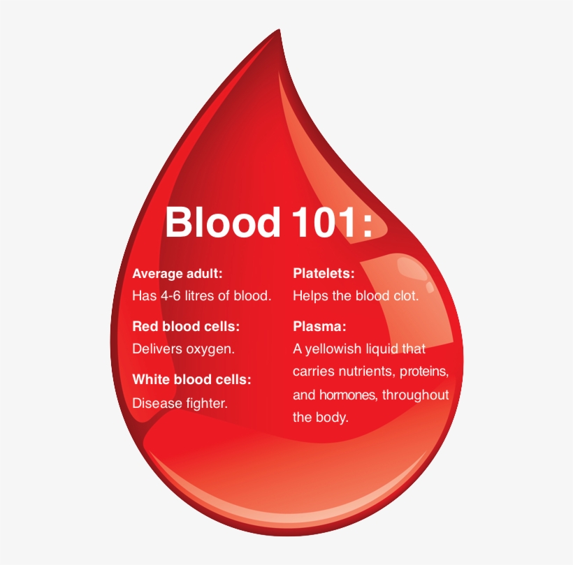 Does The Blood Carry, transparent png