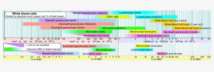 Reference Ranges For Blood Tests - Blood Cells Half Life, transparent png