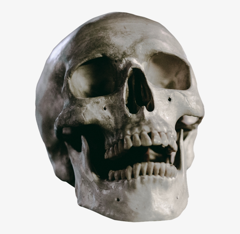 Skull, Skeleton, Head, Death, Human, Anatomy, Bone - Perspective 3 4 Skull, transparent png