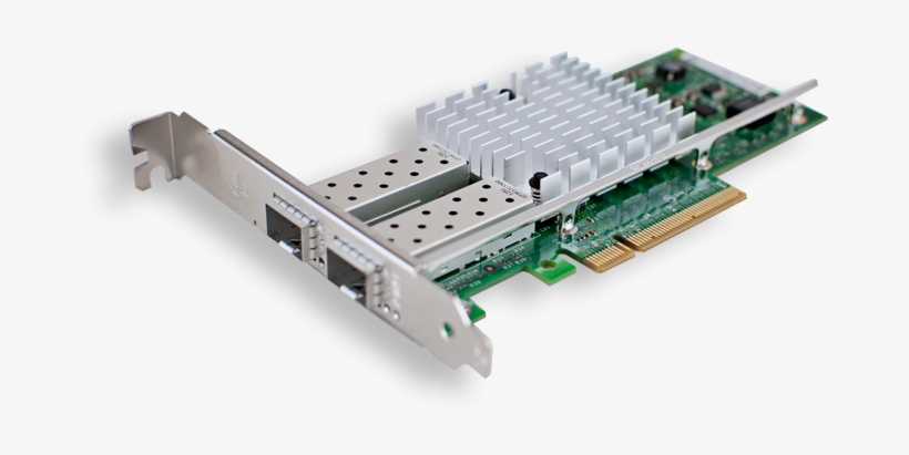 10gb Cards - Proline Small Tree 10gb Pci Express Sgl Pt, transparent png