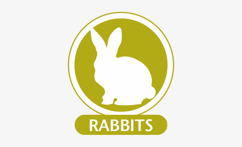 Monoclonal Antibodies For Use In Rabbits - Domestic Rabbit, transparent png