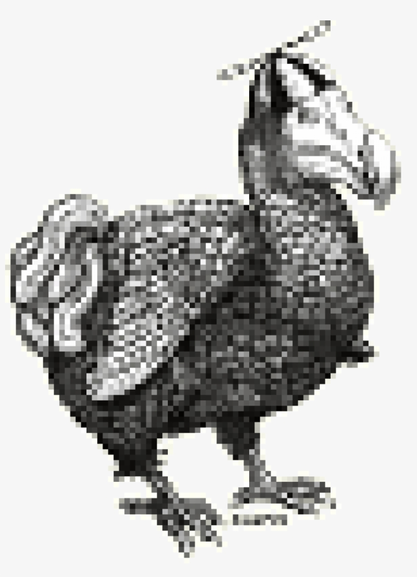 Cropped Dodo Small - 2018, transparent png