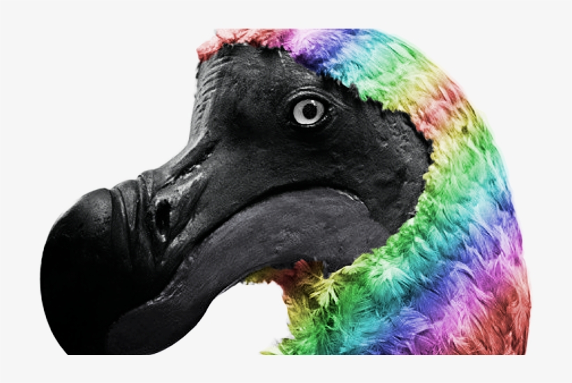 Support Gay Dodo Rights - Dodo Bird, transparent png