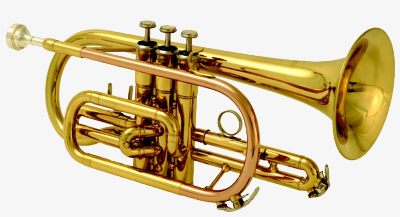 Brass Band Instrument Free Download Png - Band Instrument Png, transparent png
