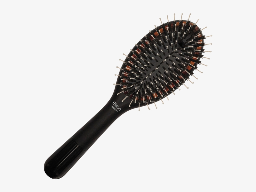 Turtle Hairbrush Fine Hair - Brush, transparent png