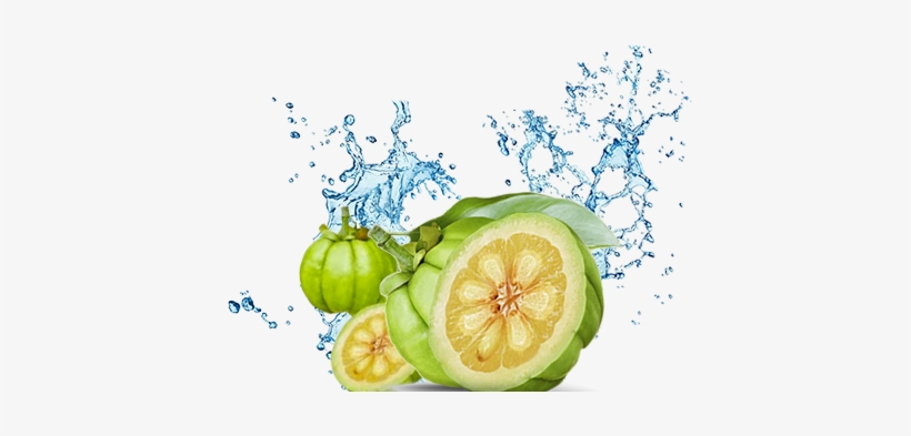 An Extract From The Fruit Rind, Hydroxycitric Acid - Garcinia Cambogia Fruit Png, transparent png