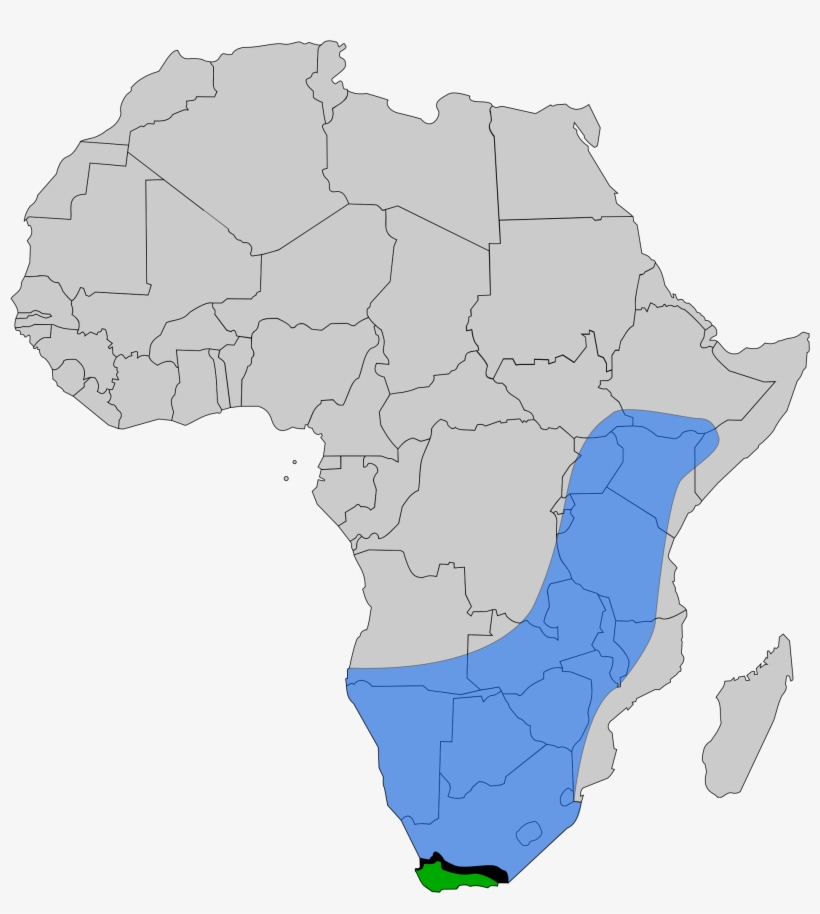 Cape And African Honey Bee Range - Africa Map, transparent png