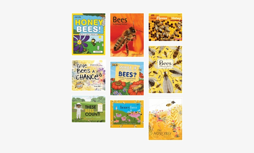 Nature Study - Honeybees - Bees: A Honeyed History, transparent png