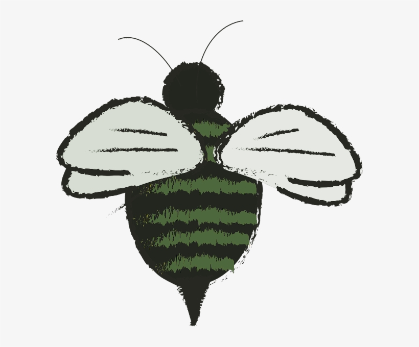 Not The Bees - Honey Bee, transparent png