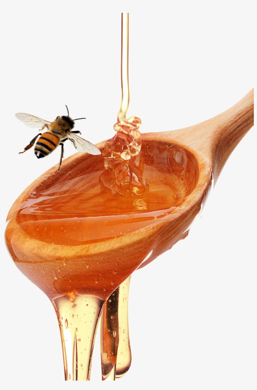 Honey Spoon - Honey, transparent png