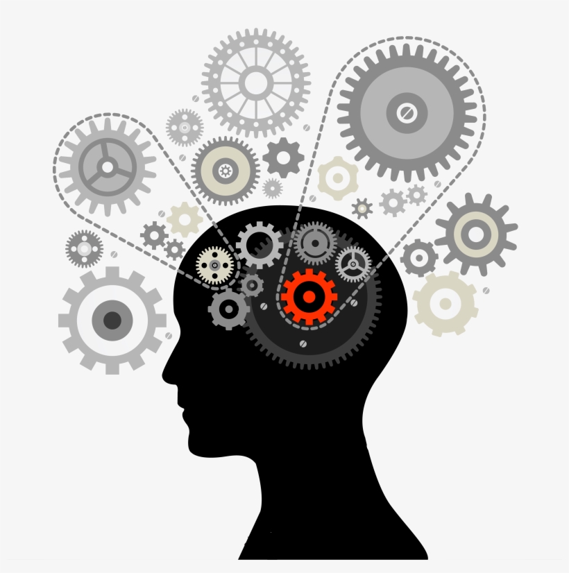 Network Of Trainers, transparent png