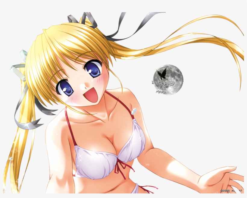 1m Misc 07 Dec 2010 - Beach Anime Girl Render, transparent png