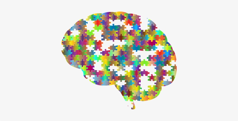 Brain, Cranium, Head, Psychology, Skull - Brain Puzzle, transparent png