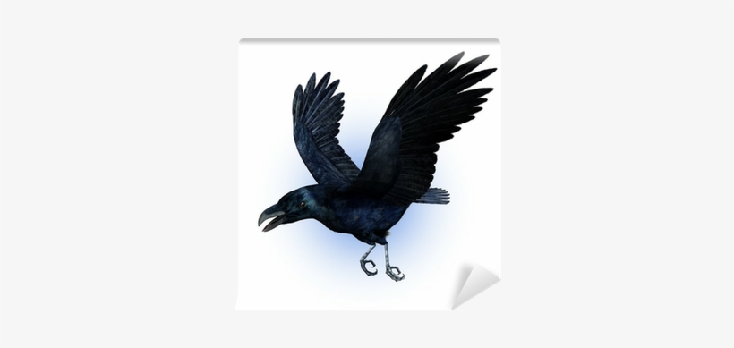 Raven In Flight, transparent png
