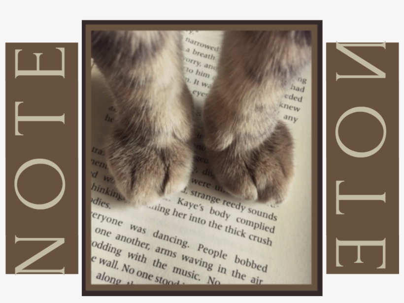 Note Oc - Cat Paws On Book, transparent png