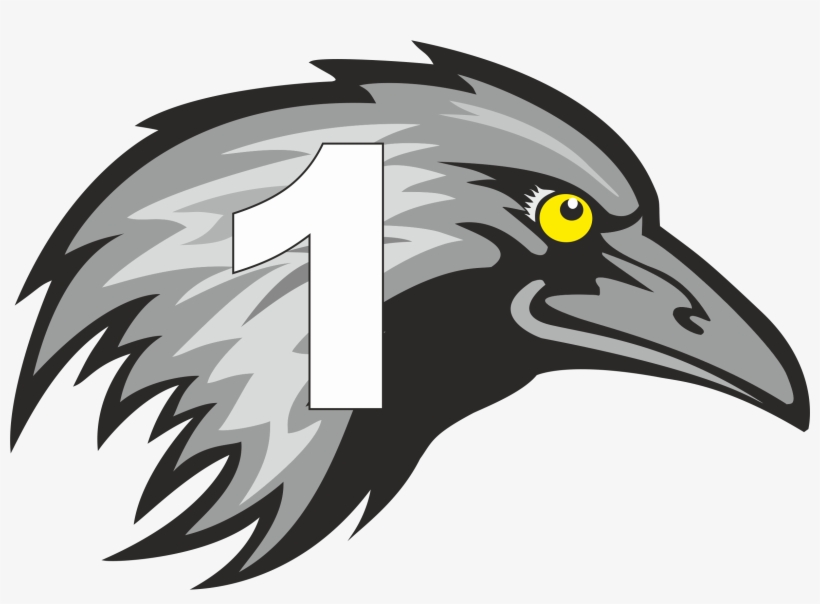 Simon 'sid' Shirley - Flightless Bird, transparent png