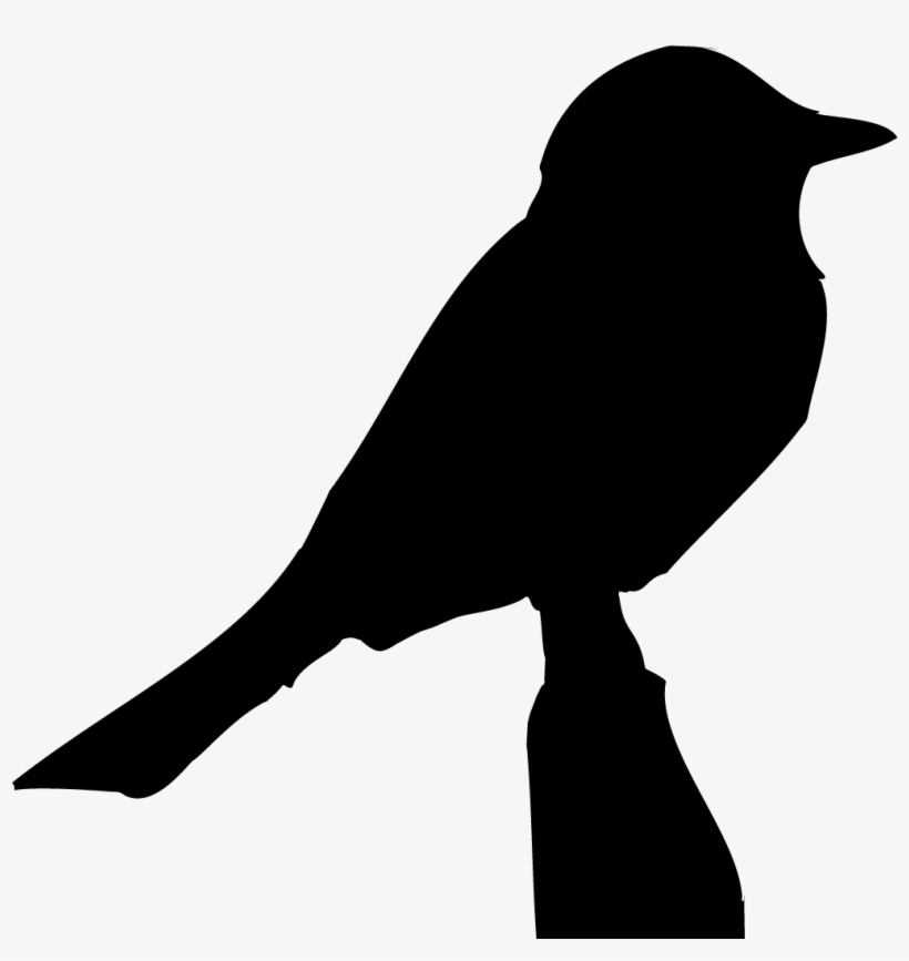 All About Birds, transparent png