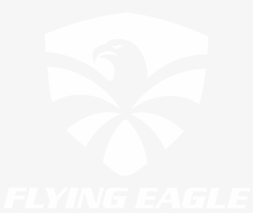 F4 Raven - Anything Automotive, transparent png