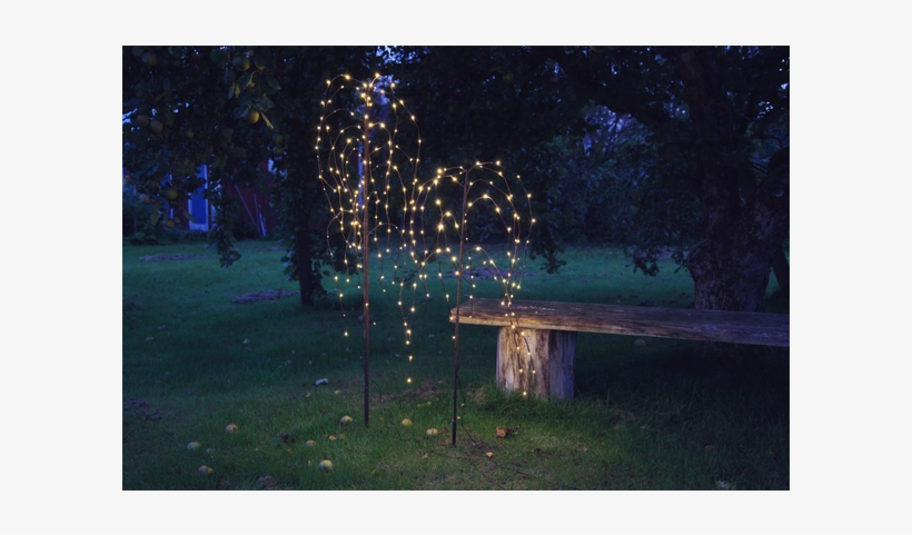 Decorative Tree Weeping Willow - Dekorationsträd Led Weeping Willow, 110cm - Star Trading, transparent png