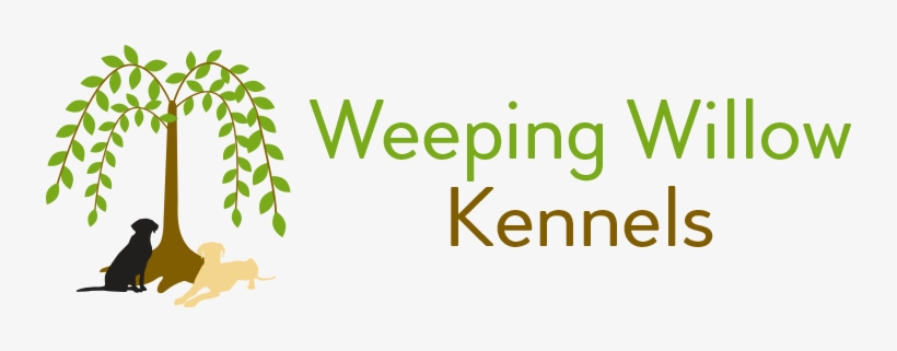 Parcelles Assainies, transparent png