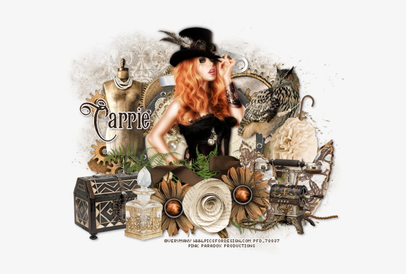 Vm Steampunkbeauty Carrie - Zazzle Eule T-shirt, transparent png