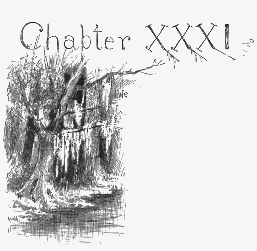 Adventures Of Huckleberry Finn 1885-p266 - Huck Finn In Tree, transparent png