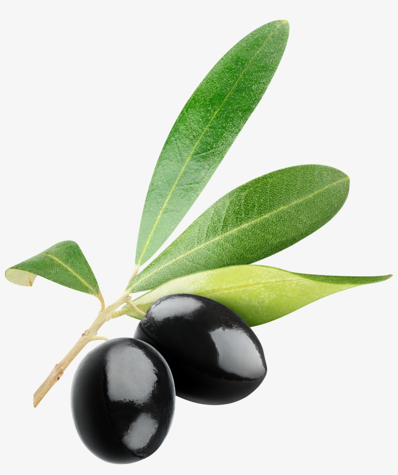 Olive Clipart Free, transparent png