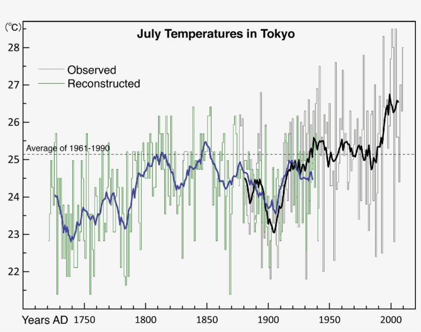 Thin Lines Indicate Year To Year Variations And Thick - Common Fig, transparent png