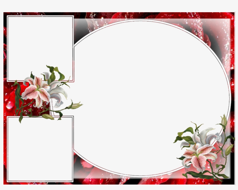 Photography, transparent png