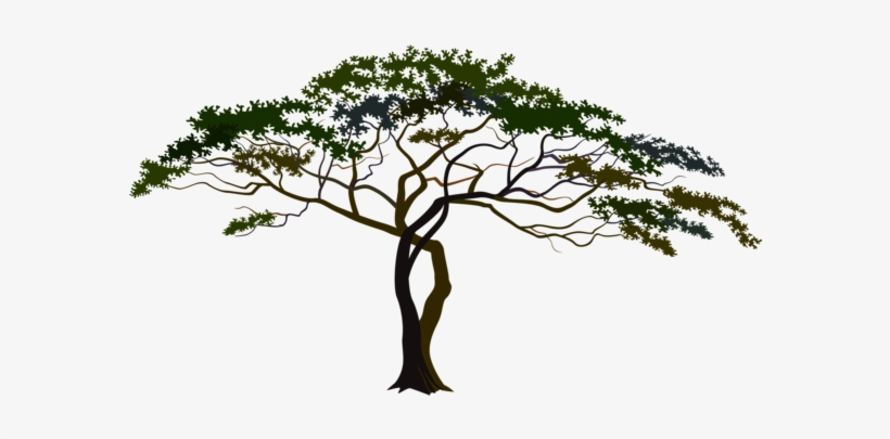 0, - African Forest Silhouette Png, transparent png